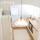 오롯이오늘 이미지