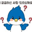 엔도픽스 네이버블로그