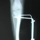 위니펫동물병원 이미지