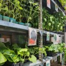 서울농약사 이미지