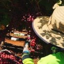 임금농장 이미지