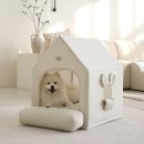 반려견 이해하기(펫) 이미지