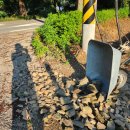 종암농장 이미지