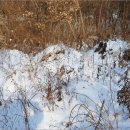 종천보건진료소 이미지