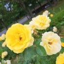 배산공원 주차장 이미지