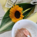 대치바른공인중개사사무소 | 25년 10월 근황 - 4번째 이사준비 중 / 2번째 매도 후기 / 법인 설립
