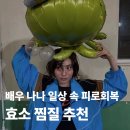 배우 나나가 다녀온 쑥 효소찜질, 개똥쑥 환의 정체는?