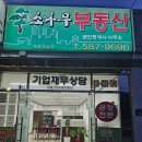 트럼프공인중개사무소 이미지