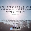 와스디