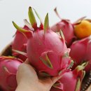 백용농장 이미지