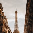 영미문학과 예술 이미지