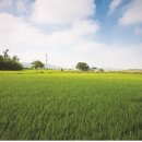 지도읍선도보건진료소 이미지