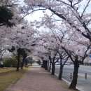 창원대로 이미지