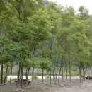 강변소풍민박 이미지