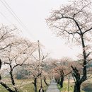 함벽정 이미지