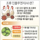 철랑농장 이미지