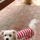 용마동물병원 이미지