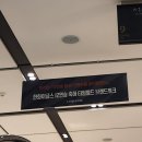 한화 우승하면 ㄹㅇ 갤러리아 백화점 할인할거같은데 이미지