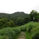 서울양원숲초등학교 이미지