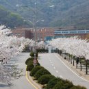 씨앤에스스튜디오