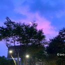 소노하우스 | 홍천 비발디파크 오션월드 숙소 소노펠리체 펜트하우스 솔직후기