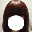에스홀릭