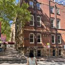 구라피쉬 이미지