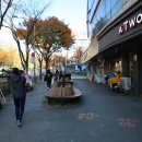 대덕구치매안심센터 이미지