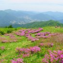 남운주유소 이미지