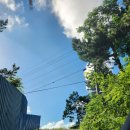 해비치나루 이미지