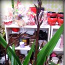 동대구초교 이미지