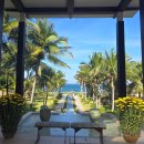 용안 농장 | 나트랑 풀빌라 리조트 추천- 퓨전리조트 깜란 하이드어웨이 빌라 후기