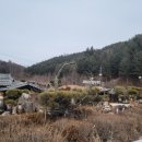 평창메밀막국수 - 청주시 서원구 두꺼비로38번길 6 | 평창메밀막국수