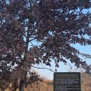 인라인스케이트장 앞 이미지