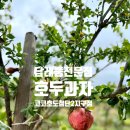 코코호도첨단2지구점
