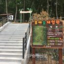 공주산림휴양마을 유아숲체험원 이미지