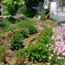 고촌마을회관 이미지