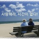 사랑#