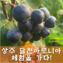 화령농장 이미지