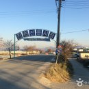 진천관상어 이미지