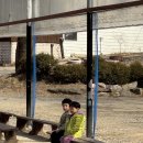 용인농장 이미지