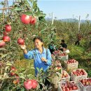 고산농장 이미지