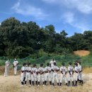 서초구서리풀리틀야구단