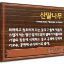 (주)나무애