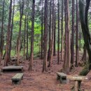 당신만을 위한 길 이미지