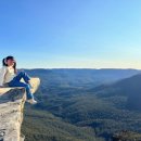 블루마운틴 이미지