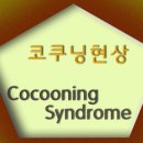 코쿠닝 COCOONING