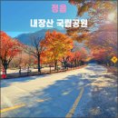 내장산국립공원화장실(제1주차장) | 정읍 내장산 국립공원(2023.11): 주차장, 셔틀버스, 단풍나무길, 우화정