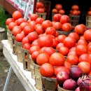 퀸스 휘트니스 이미지