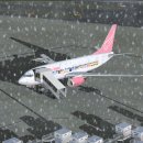 enFly Japan B737-700QC RJBB-RKSI 간사이/인천 어쨌던 신활주로 테스트 이미지